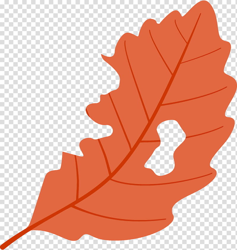 worm-eaten leaf fallen leaf dead leaf, Wormeaten Leaf, Autumn Leaf, Tree, Maple Leaf, Woody Plant, Black Maple, Plane transparent background PNG clipart