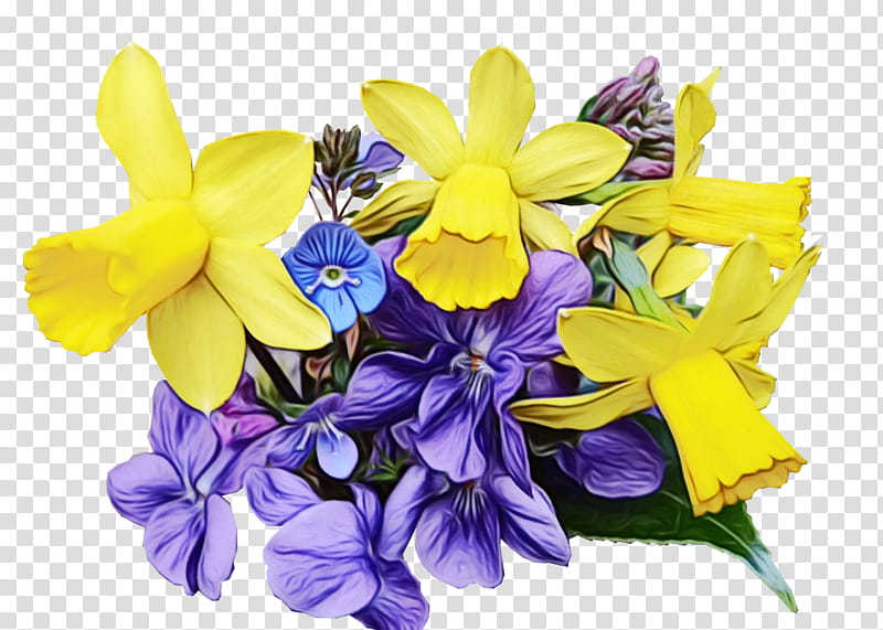 flower flowering plant yellow plant cut flowers, Watercolor, Paint, Wet Ink, Petal, Violet, Bouquet, Iris transparent background PNG clipart