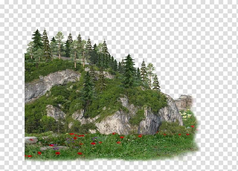 Four nature scenes, forest illustration transparent background PNG clipart
