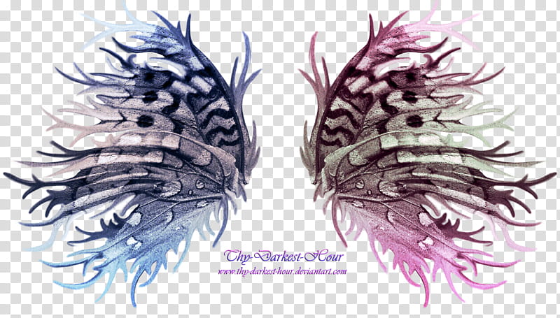 Frilled Fariy Wings , blue and pink feather art transparent background PNG clipart