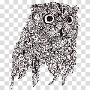 black owl illustration transparent background PNG clipart