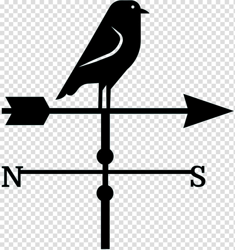 Bird Logo, Beak, Black White M, Line, Angle, Blackandwhite, Perching Bird, Wing transparent background PNG clipart