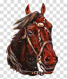 Horses s, brown horse head illustration transparent background PNG clipart