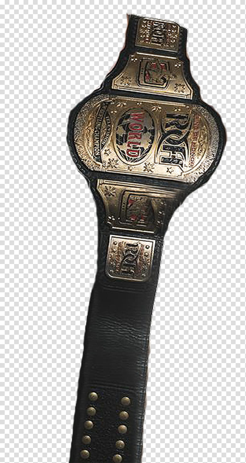 ROH Television Champion Para Hombro transparent background PNG clipart
