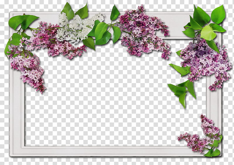 White Frame, Frames, Flower, BORDERS AND FRAMES, Floral Design, Flower Frame, Decal, White Frame transparent background PNG clipart