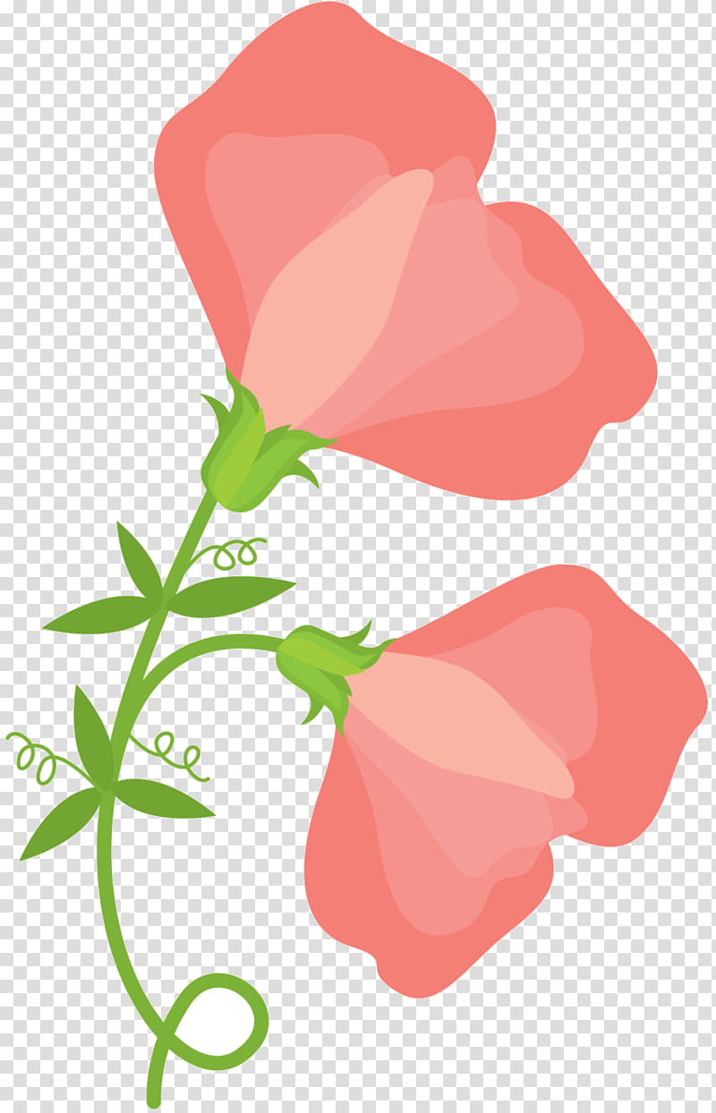 Pink Flower, Garden Roses, Floral Design, Plant Stem, Petal, Leaf, Plants, Red transparent background PNG clipart