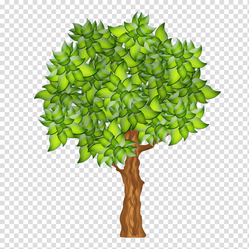 green plant tree leaf woody plant, Grass, Flower, Plant Stem, Branch, Jade Flower transparent background PNG clipart