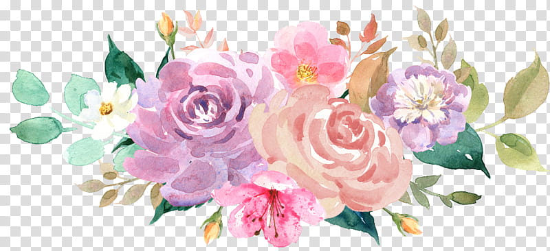 Flower Art Watercolor, Watercolor Painting, Mug, Gift, Pink, Rose, Garden Roses, Petal transparent background PNG clipart