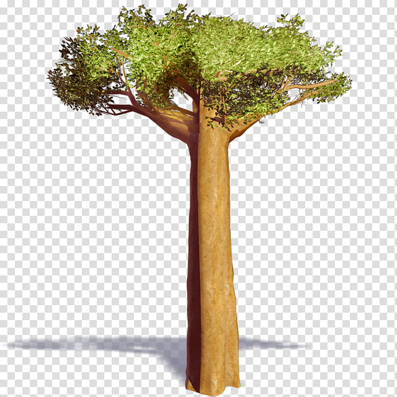 Baobab Tree, Computeraided Design, Building Information Modeling, Autodesk Revit, dwg, Archicad, Autocad, 3D Computer Graphics transparent background PNG clipart