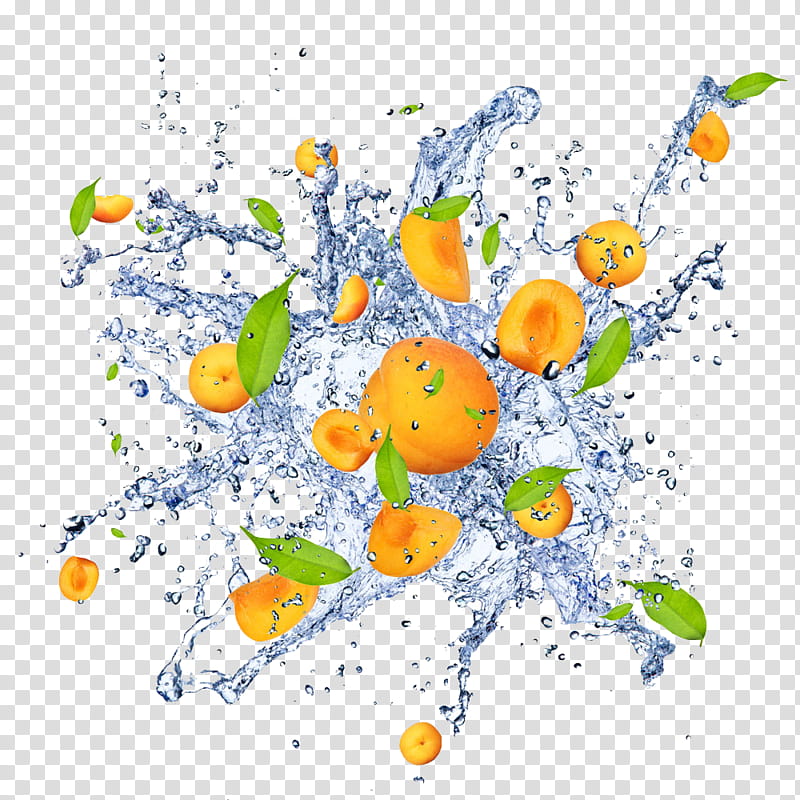 Background Poster, Orange, Price, Fruit, Water, Goods, Advertising, Citrus transparent background PNG clipart