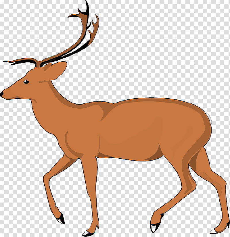 Reindeer, Elk, School
, Highland Park High School, Education
, Whitetailed Deer, Antelope, Wildlife transparent background PNG clipart