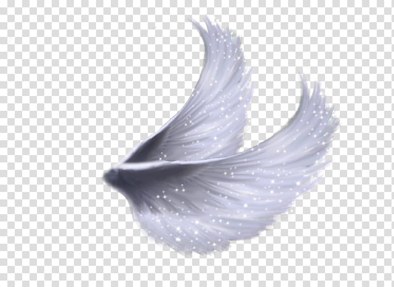 Angel Lily Collins transparent background PNG clipart