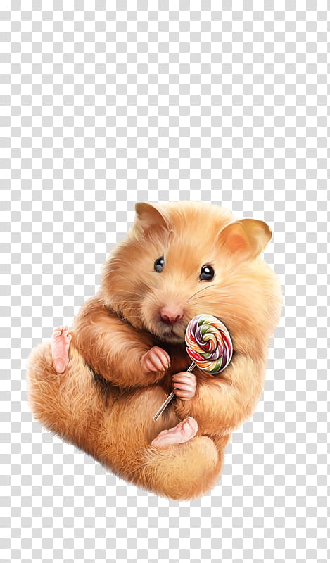 Hamster, Animal, Rat, Animation, Yandex, Blog, Mouse, Drawing transparent background PNG clipart