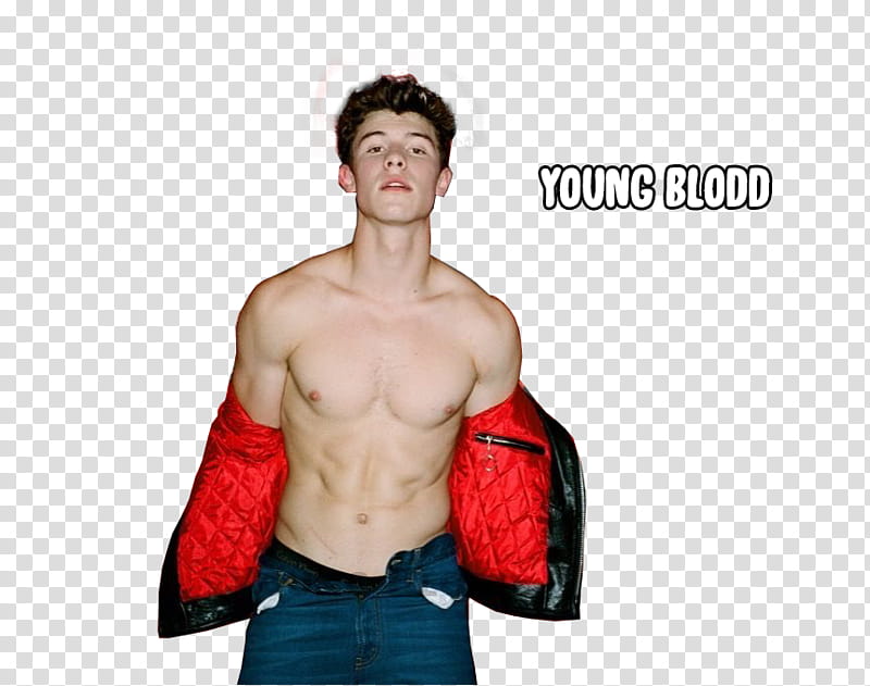 Shawn Mendes transparent background PNG clipart