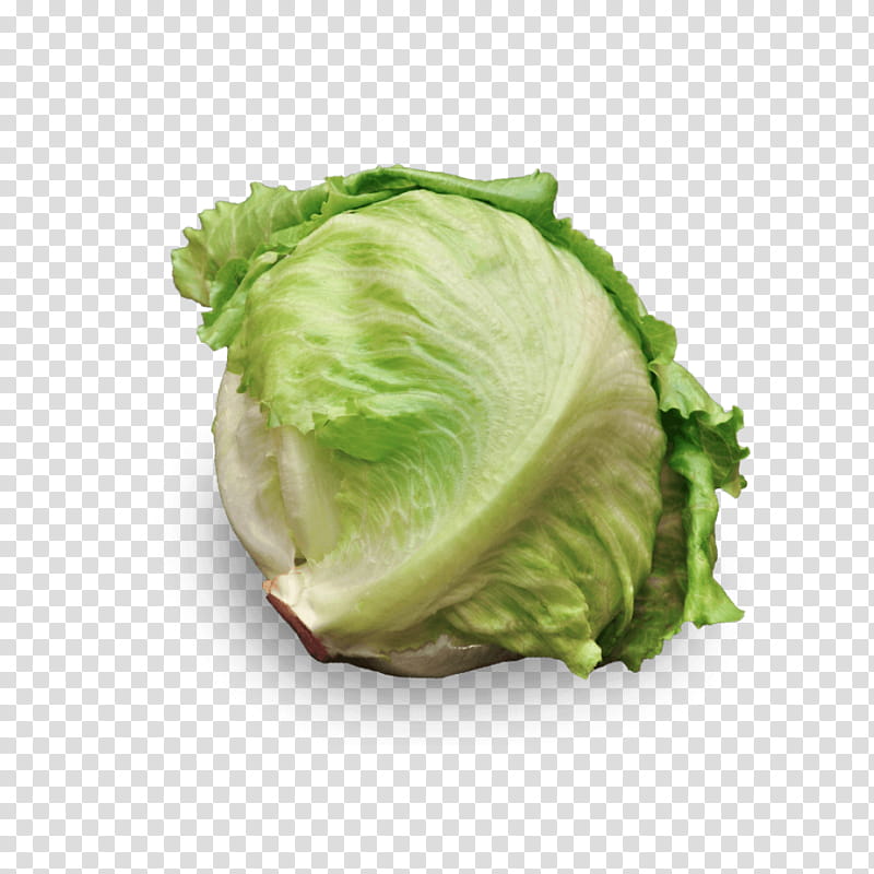 Vegetables, Romaine Lettuce, Iceberg Lettuce, Salad, Recipe, Calorie, Healthy Diet, Cabbage transparent background PNG clipart