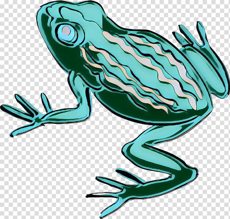 Frog, Toad, True Frog, Tree Frog, Cartoon, Animal, Agalychnis, Hyla transparent background PNG clipart