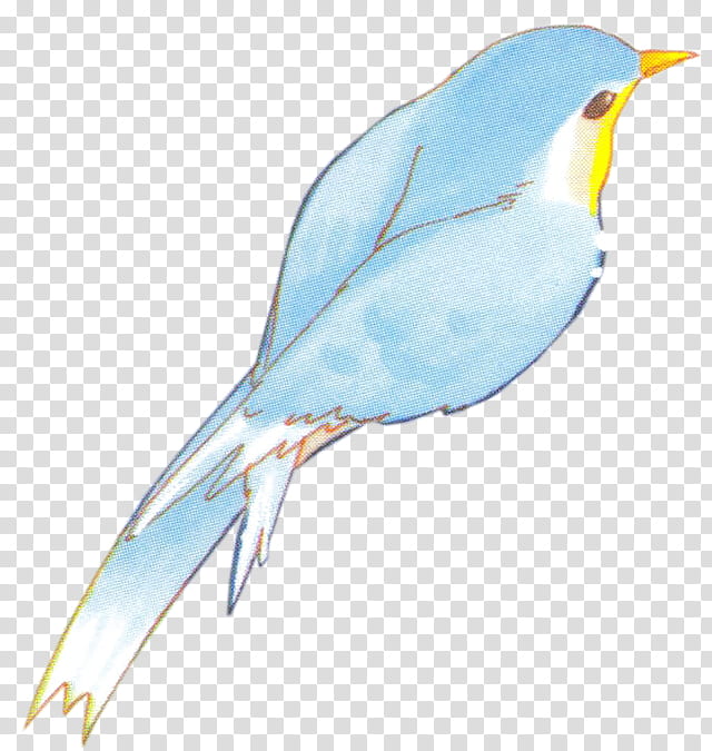 Blue Bird xp, blue bird drawing transparent background PNG clipart