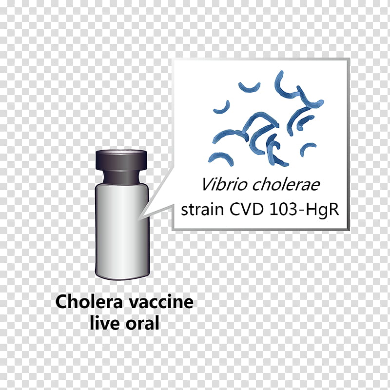 Logo Text, Cholera, Line, Disease, Drinkware, Diagram transparent background PNG clipart