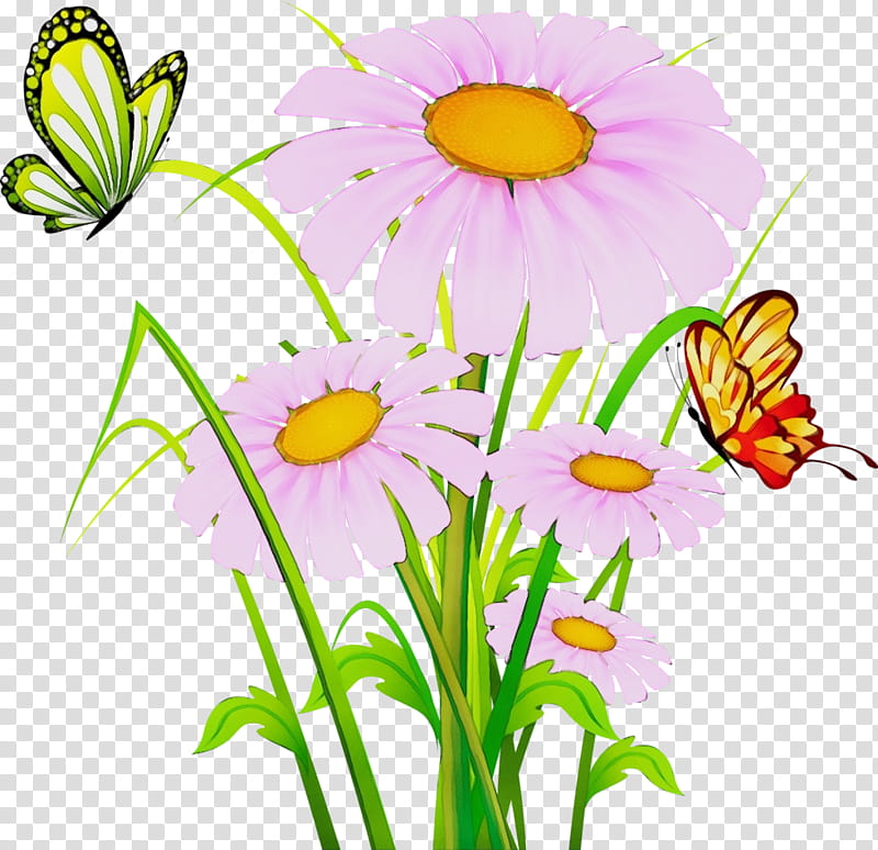 Daisy, Watercolor, Paint, Wet Ink, Flower, Chamomile, Plant, Mayweed transparent background PNG clipart