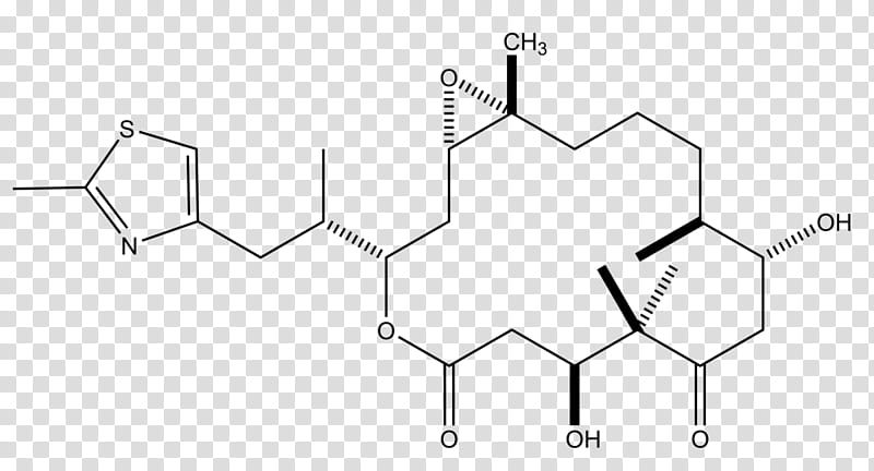 Epothilone White, Paclitaxel, Discovery And Development Of Tubulin Inhibitors, Microtubule, Docetaxel Anhydrous, Cell Division, Cancer Cell, Depolymerization transparent background PNG clipart