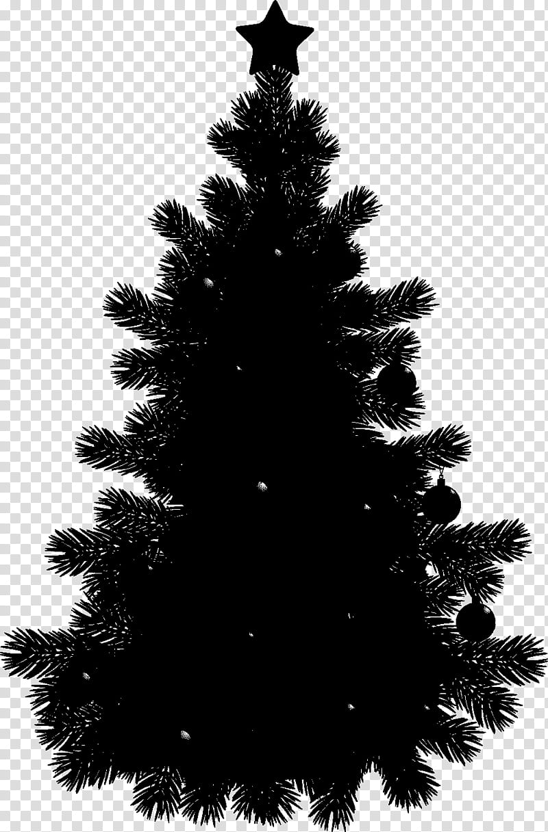 Christmas Black And White, Pine, Tree, Black Pine Tree, Silhouette, Fir, Conifers, Christmas Tree transparent background PNG clipart