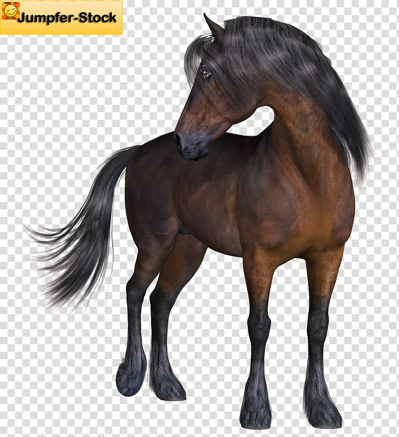 Horse , black and brown horse illustration transparent background PNG clipart