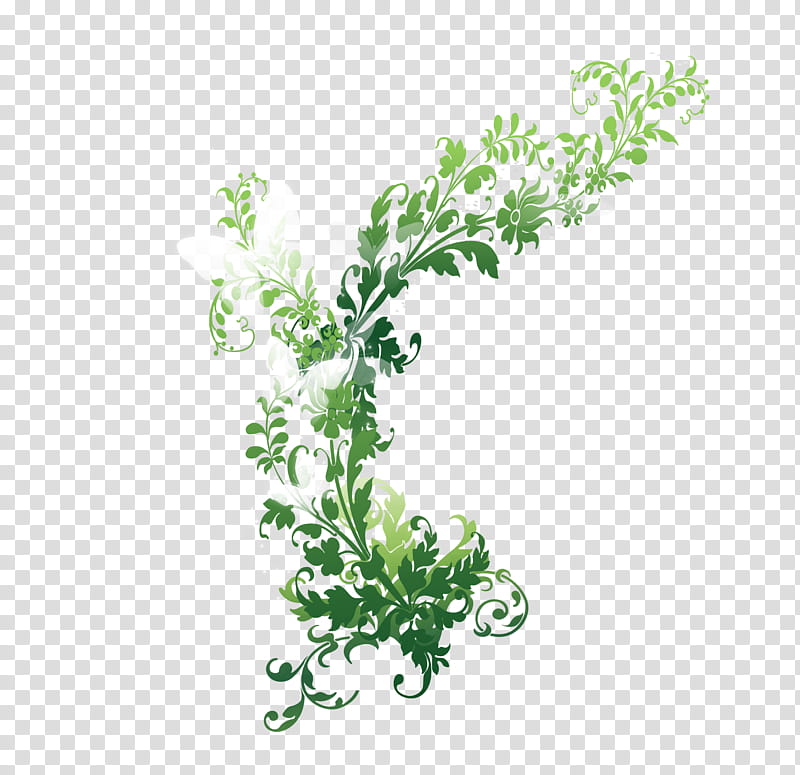 Butterfly Elegance Growth, three white butterflies and green leafed plant illustration transparent background PNG clipart