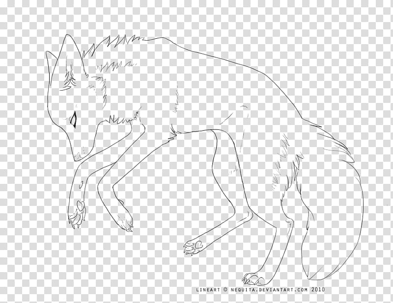 free wolf lineart, fox sketch transparent background PNG clipart