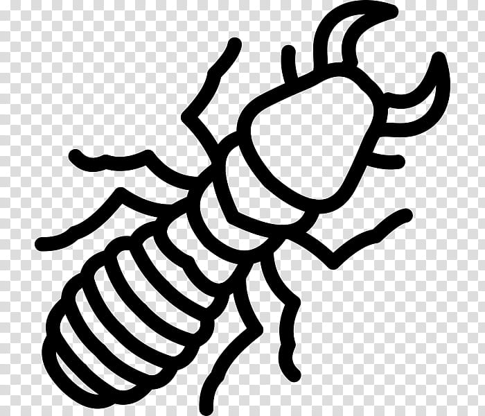 insect line art coloring book crayfish scorpion transparent background PNG clipart