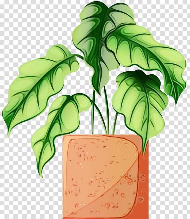 Watermelon, Watercolor, Paint, Wet Ink, Leaf, Plants, Ornamental Plant, Drawing transparent background PNG clipart