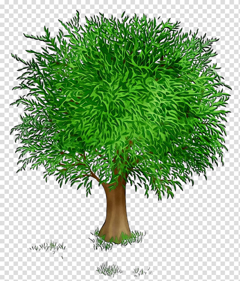 Green Grass, Castle, Flowerpot, Evergreen Group, Houseplant, Evergreen Marine Corp, Shrub, Aptitude transparent background PNG clipart