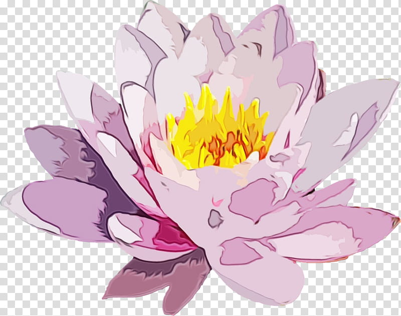 Lotus, Watercolor, Paint, Wet Ink, Flower, Fragrant White Water Lily, Flowering Plant, Petal transparent background PNG clipart