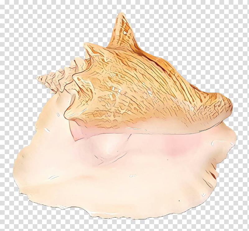 Trumpet Conch, Jaw, Shankha, Shell, Musical Instrument, Beige, Bivalve transparent background PNG clipart