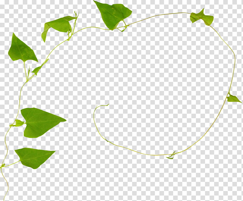 Family Tree, Green, Calameae, Leaf, Twig, Plants, Cartoon, Painting transparent background PNG clipart