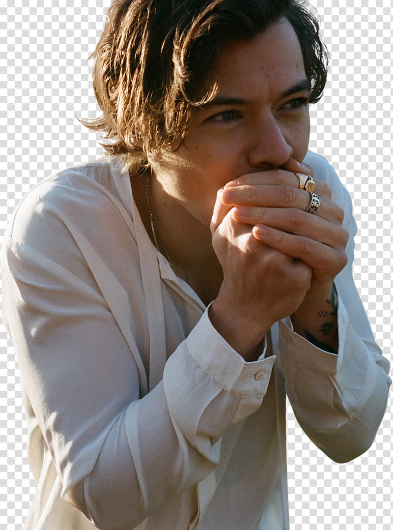 PACK  HARRY STYLES, HS CCE () icon transparent background PNG clipart