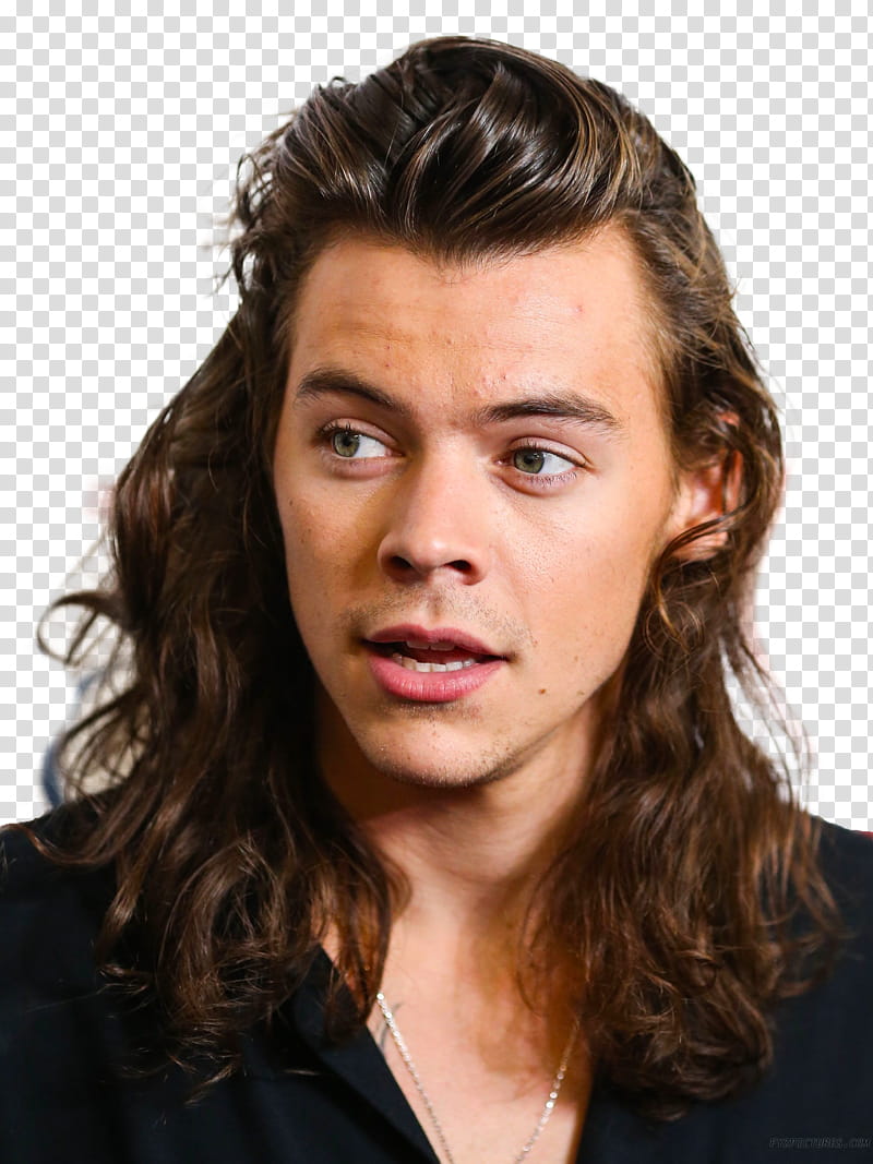 Harry Styles, Harry Style transparent background PNG clipart