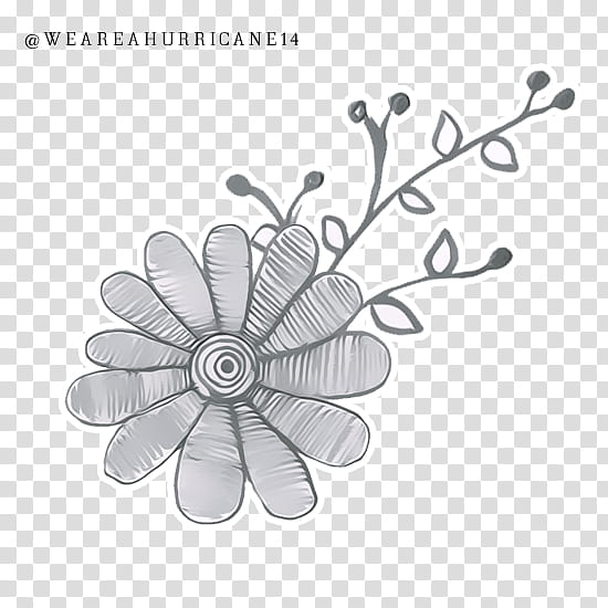 Doodle , gray flower artwork transparent background PNG clipart