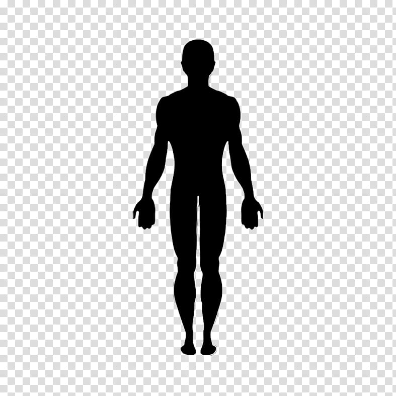Man, Human Body, Silhouette, Anatomy, Human Body Collection, Standing, Black, Joint transparent background PNG clipart