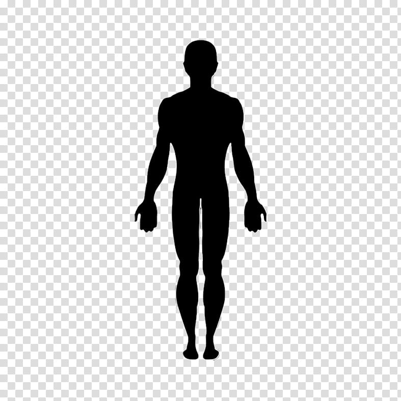 Human Body Standing Silhouette Drawing @