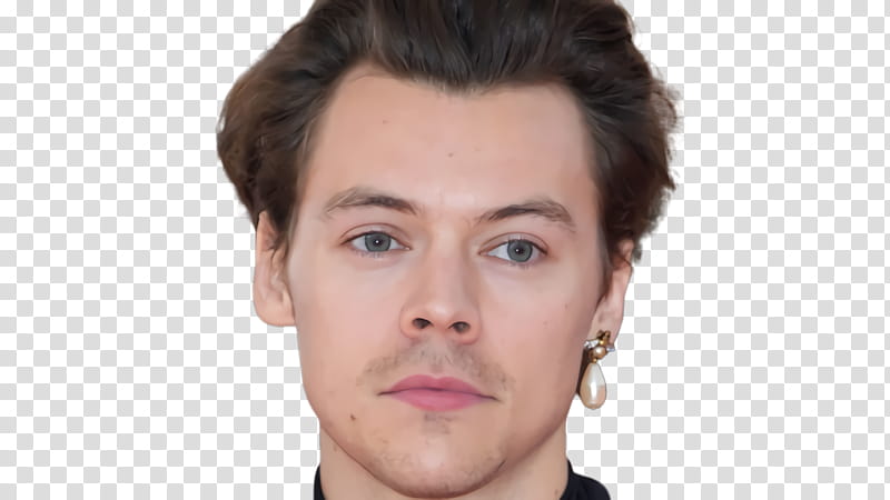 Lips, Harry Styles, Singer, One Direction, Eyebrow, Eyelash, Hair, Hair Coloring transparent background PNG clipart