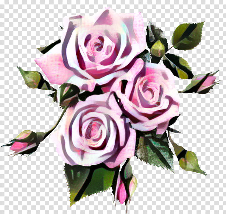 Pink Flowers, Rose, Grandiflora, In The Style, Garden Roses, Cut Flowers, Rose Family, Plant transparent background PNG clipart