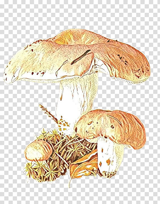 Mushroom, Edible Mushroom, Fungus, Agaricaceae, Drawing, Russula Vesca, Stuffed Mushrooms, Watercolor Painting transparent background PNG clipart