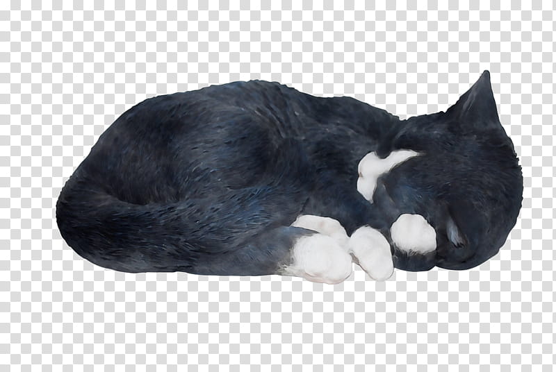 cat small to medium-sized cats snout tail fur, Watercolor, Paint, Wet Ink, Small To Mediumsized Cats, Paw, Nap transparent background PNG clipart
