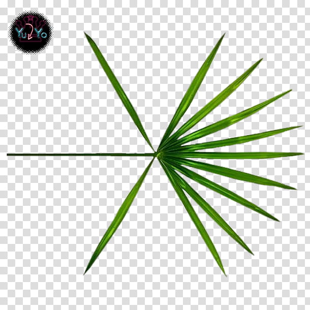 EXO LOGO, green palm leaf transparent background PNG clipart