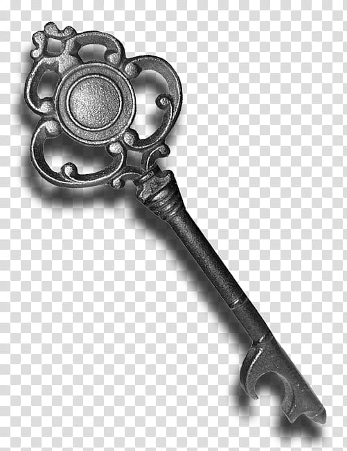 The Mystical Key Dock icon, gray skeleton key transparent background PNG clipart