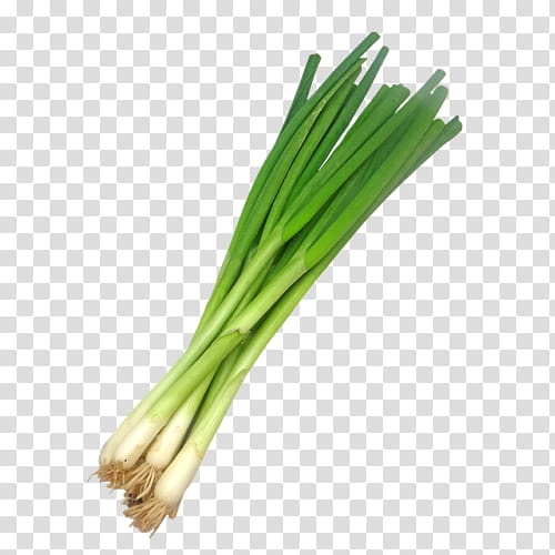 Onion, Welsh Onion, Scallion, Leek, Vegetable, Tabbouleh, Chives, Food transparent background PNG clipart