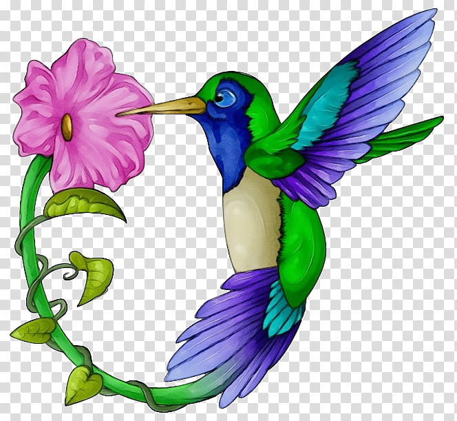 Purple Watercolor Flower, Hummingbird, Drawing, Google Hummingbird, Watercolor Painting, Violet, Beak, Plant transparent background PNG clipart