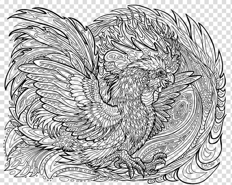 Bantam Phoenix lineart, black bird sketch transparent background PNG clipart