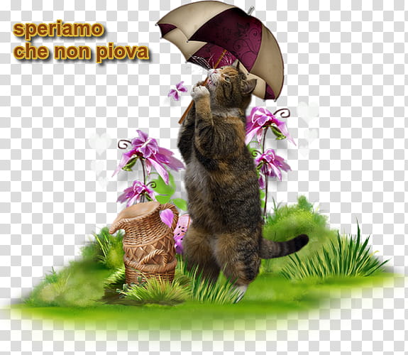 Grass Flower, Cat, Kitten, Smile, Drawing, Chaton, Whiskers, Online Chat transparent background PNG clipart