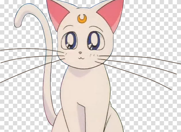 Artemis Sailor Moon, Aesthetic cat transparent background PNG clipart
